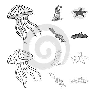 Jellyfish, squid and other species.Sea animals set collection icons in outline,monochrome style vector symbol stock