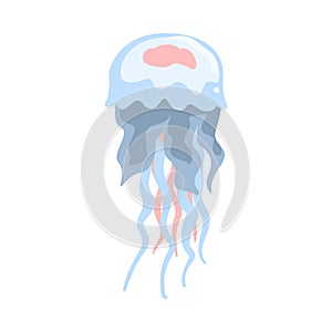 Jellyfish Underwater Ocean Sea Creature Cartoon Vector Illustration