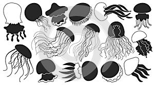 Jellyfish vector black icon. Isolated black set icon medusa.Vector illustration jellyfish on white background