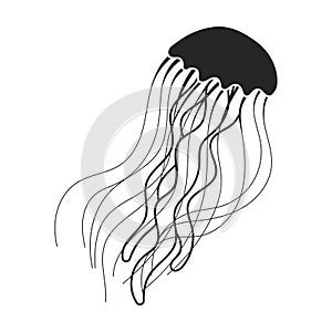 Jellyfish vector icon. Black vector icon isolated on white background jellyfish