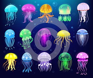 Jellyfish vector ocean jelly-fish or sea-jelly and underwater nettle-fish or medusae illustration set of exotic