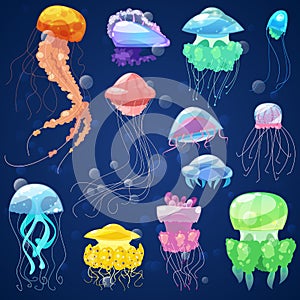 Jellyfish vector ocean jelly-fish and underwater nettle-fish illustration set of jellylike glowing medusa or fish in sea