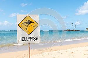 Jellyfish warning sign on the beach