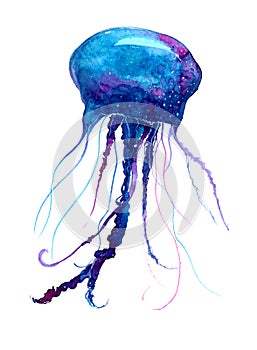 Jellyfish watercolor illustration. Medusa painting isolated on white background, colorful tattoo design