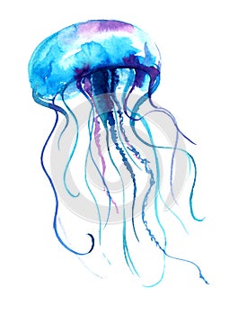 Medúza akvarel ilustrace. medúza malování izolované na bílém pozadí barvitý tetování 