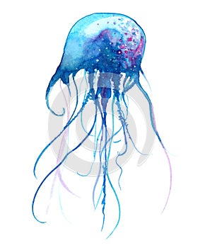 Jellyfish watercolor illustration. Painted medusa isolated on white background, underwater wildlife.