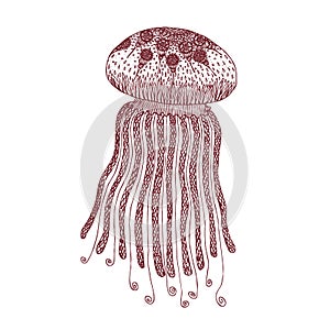 Jellyfish in zentangle style