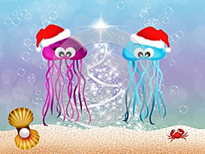 Jellyfishes at Christmas