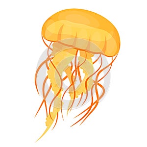 Jellyfishes or medusae yellow. Underwater animal, free-swimming marine creature.