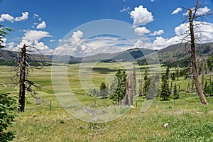 Jemez Mountain Trail Scenic Byway near Valles Caldera photo