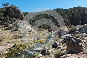 Jemez River in the Jemez Mountains, New Mexico photo