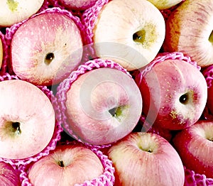 apple fruit background photo