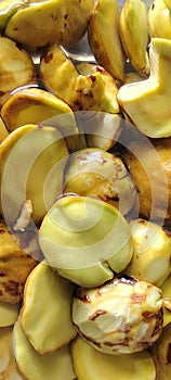 jengkol fruit native to Indonesia