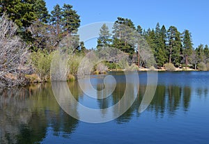 JENKS LAKE WITH REFLECTIONS OF THE TREES