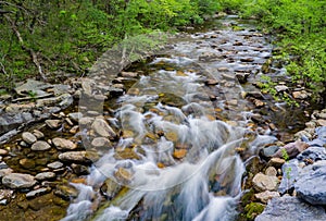 Jennings Creek, an Outstanding Trout Stream