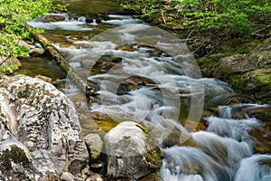 Jennings Creek, a Poplular Trout Stream