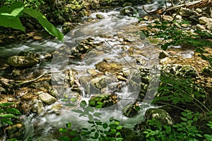 Jennings Creek a Popular Trout Stream - 3