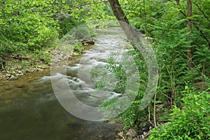 Jennings Creek a Popular Trout Stream - 5