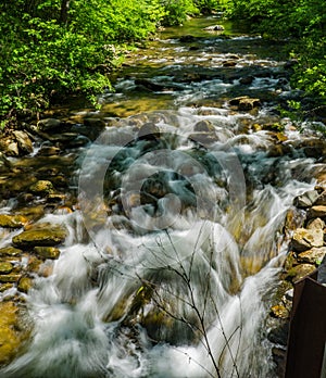Jennings Creek a Popular Trout Stream - 6