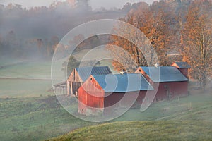 Jenny farm in Morning Fog in Early Fall , Stow, Vermont