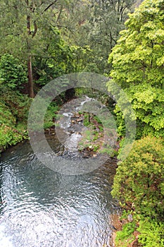 Jenolan River downstream photo