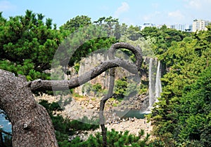 Jeongbang waterfall, Jeju Island