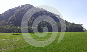 Jepara indonesia mountain white benteng portugis