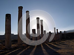 Jerash columns iii photo