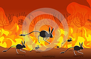 Jerboas silhouettes running from forest fires in australia animals dying in wildfire bushfire burning trees natural