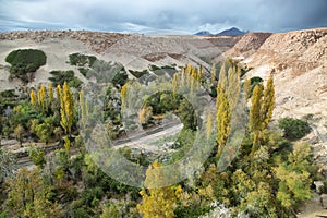 Jerez oasis