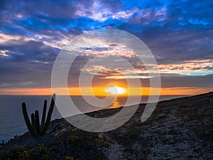 Jericoacoara Beach