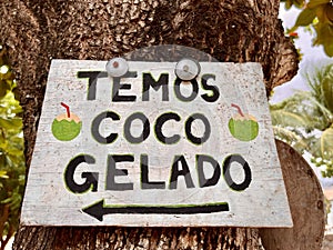 Jericoacoara, Brazil, coconut, sign, portuguese, drinks, South America