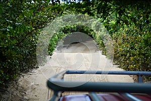 Jericoacoara Jungle Portal