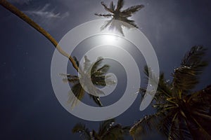 Jericoacoara, Tropical beach night view, Brazil, South America