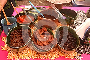 Jerky beef and spicy sauces for making Tlayuda in Mexico