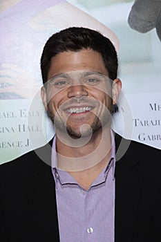 Jerry Ferrara