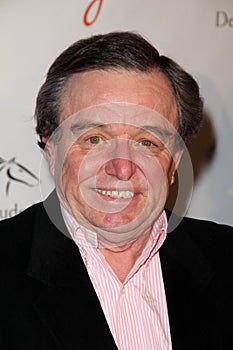 Jerry Mathers