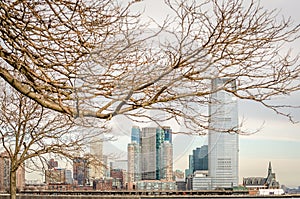 Jersey City Skyline Through Bare Tree`s Branches. Futuristic Buildings in the Background