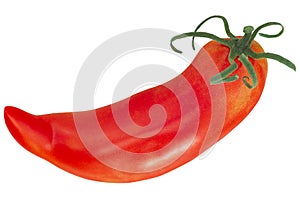 Jersey Devil heirloom pepperlike tomato  Solanum lycopersicum fruit isolated