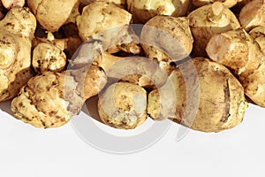 Jerusalem artichoke (Helianthus tuberosus) tubers on white background