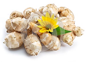 Jerusalem artichoke roots with leaves and flower of Jerusalem artichoke isolated on white background