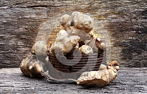 Jerusalem artichoke, small sunflower roots