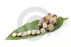 Jerusalem artichoke , sunchoke (Helianthus tuberosus)