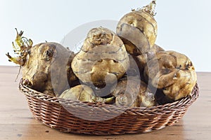 Jerusalem artichoke sunroot tubers. Helianthus vitamins tuberosus