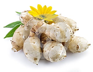 Jerusalem artichoke on a white background.