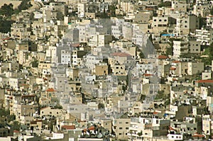 Jerusalem Hillside