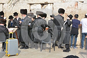 Jewish hasidic pray a the Western Wall,