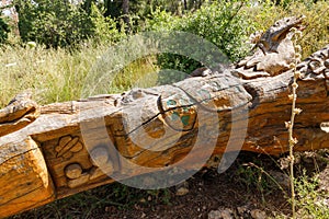 A fallen tree in various figures carved on the trunk in the Totem park in the forest near the settlements of Har Adar and Abu photo