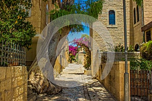 Jerusalem Israel old city street walk way passage back yard paved road between stone buildings garden park outdoor district