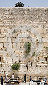 The Jerusalem wailing wall